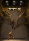 SCP Foundation. Secure. Contain. Protect. Том 1