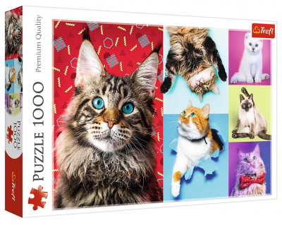 Пазл. Счастливые кошки. (1000 деталей. Trefl)