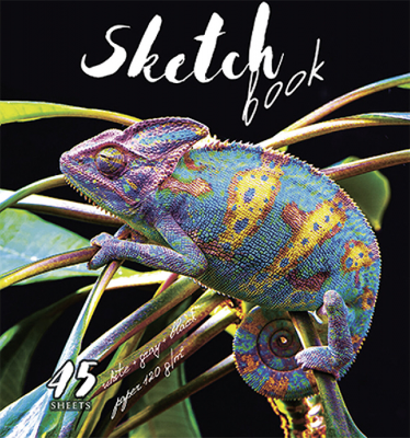 Скетчбук. Хамелеон