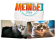 МЕМЫ 3: Котики и прочие нелюди