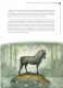 Волшебные существа Севера с иллюстрациями Юхана Эгеркранса
